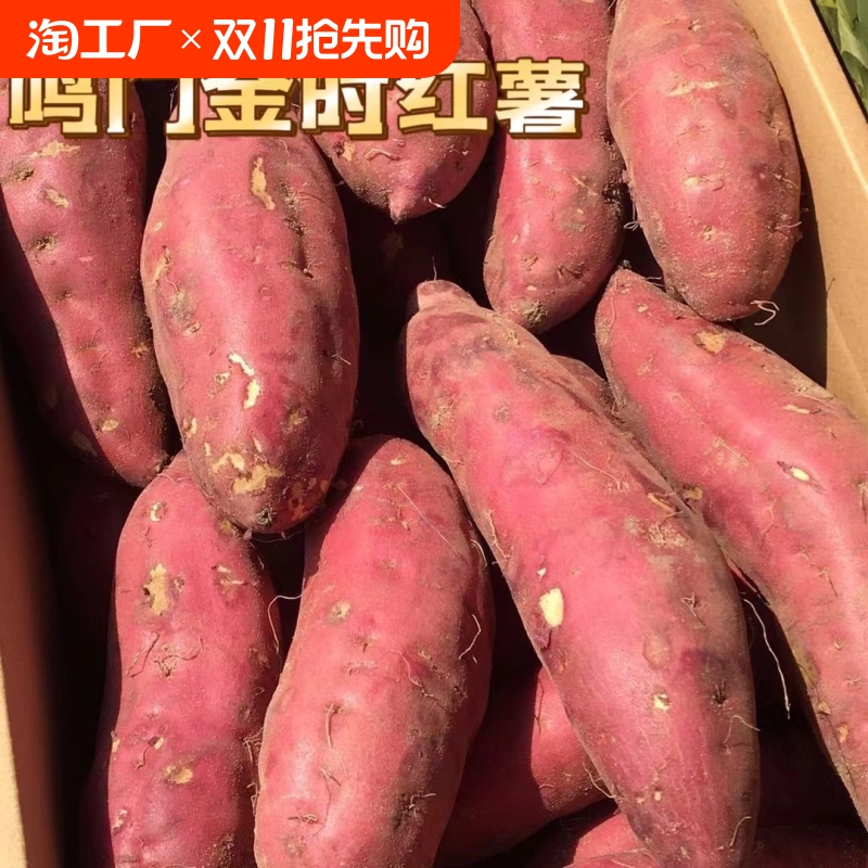 【奋勇担当 决战决胜“十四五”】连城：向新而行“小地瓜”闯出新天地